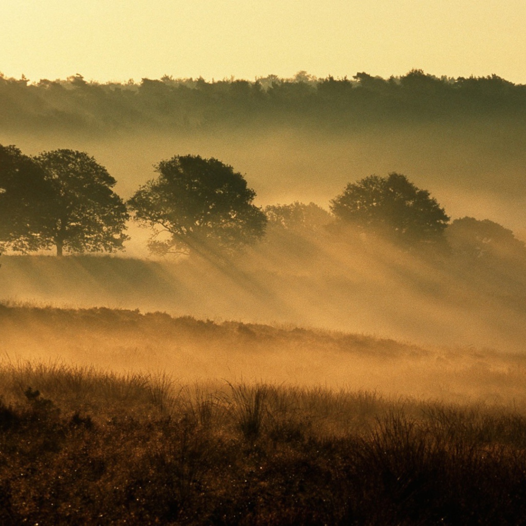 Национальный парк Нидерланды