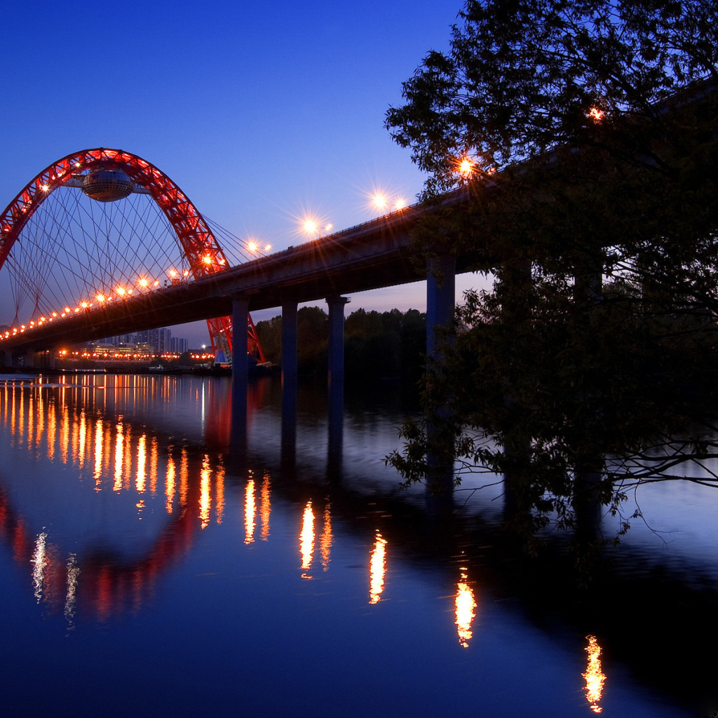 Оригинальный мост в Москве