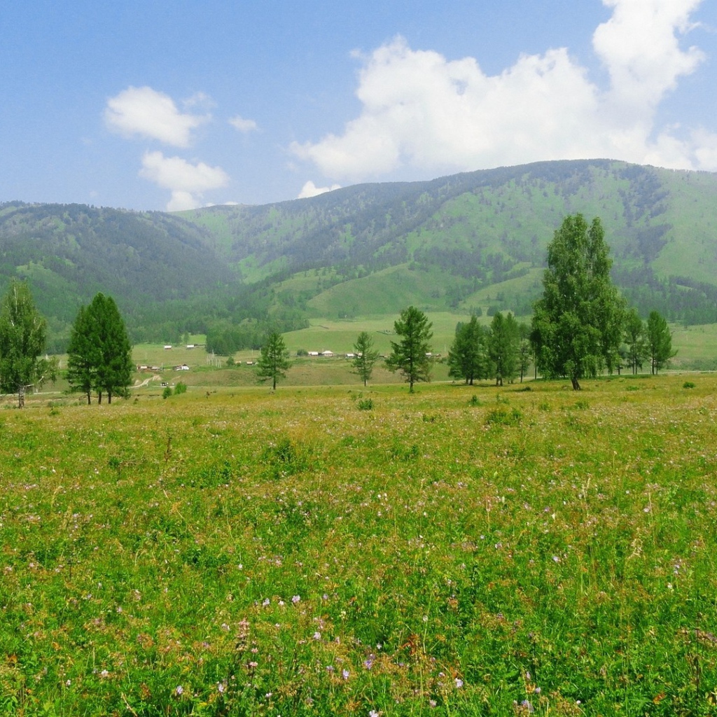 Российский пейзаж с холмами