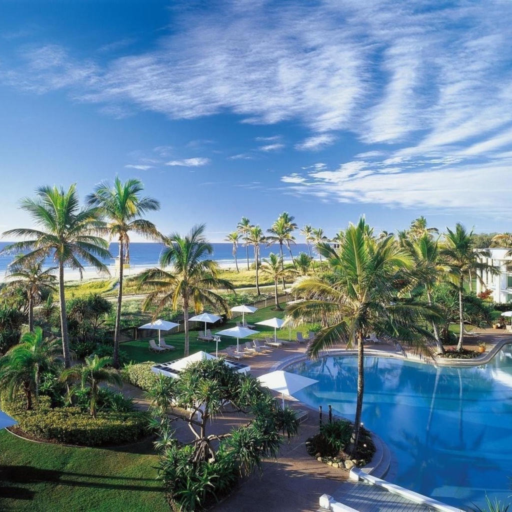 Отдых у моря под пальмами