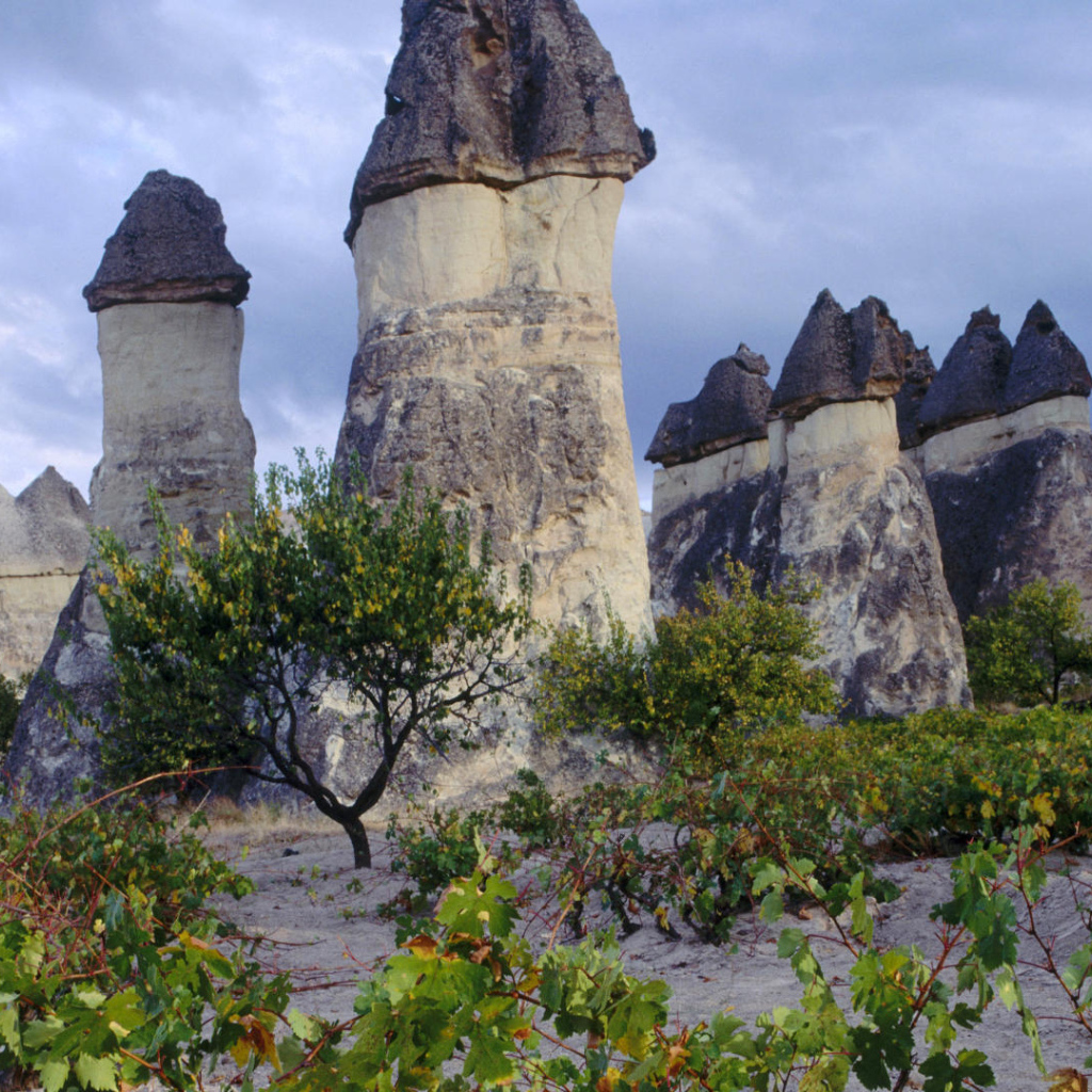 Волшебные дымоходы Турции с черными вершинами