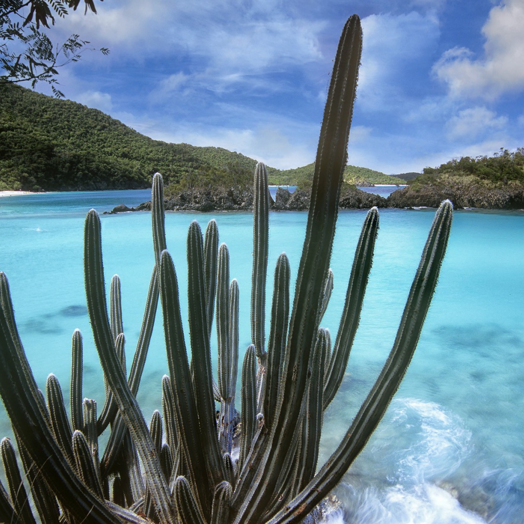 Национальный парк Вирджинии