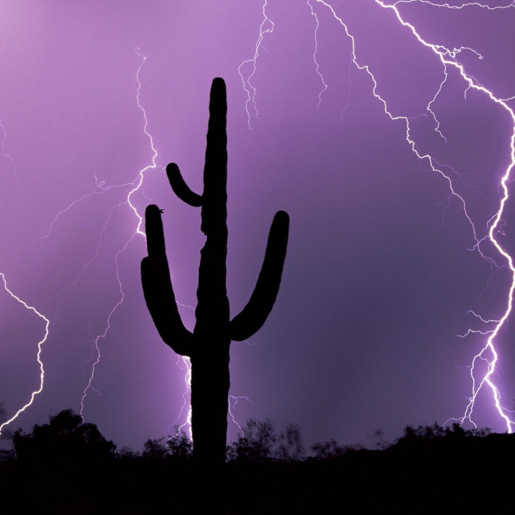 Гроза в Аризоне
