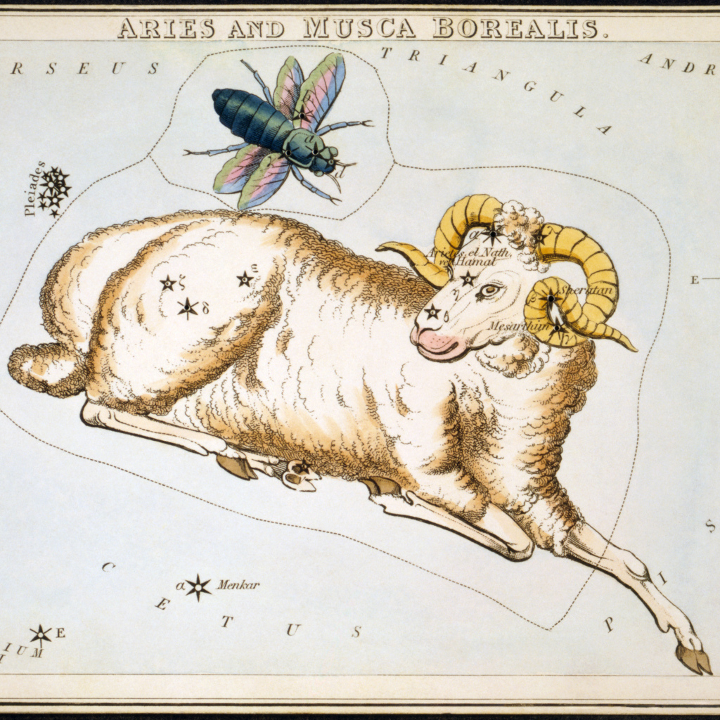 Овен на карте звёздного неба