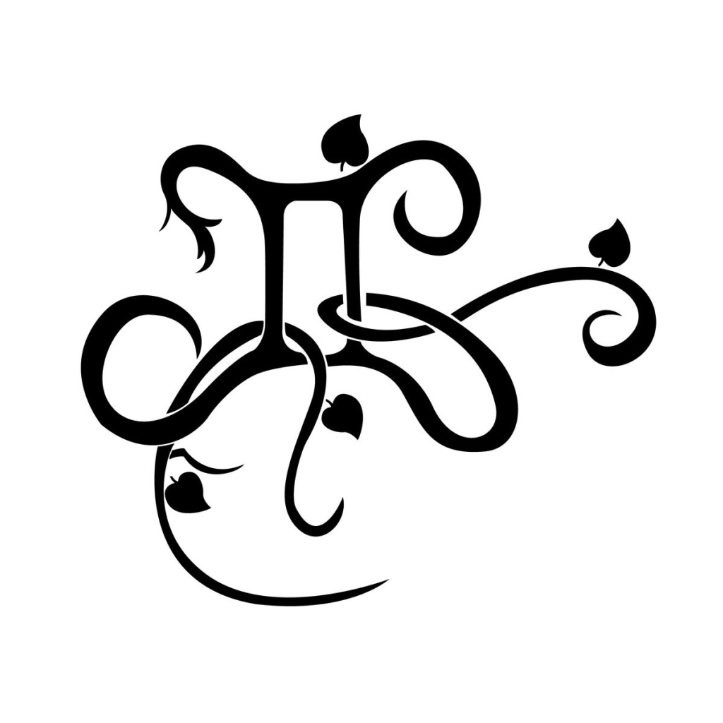 Знак близнецы на белом фоне