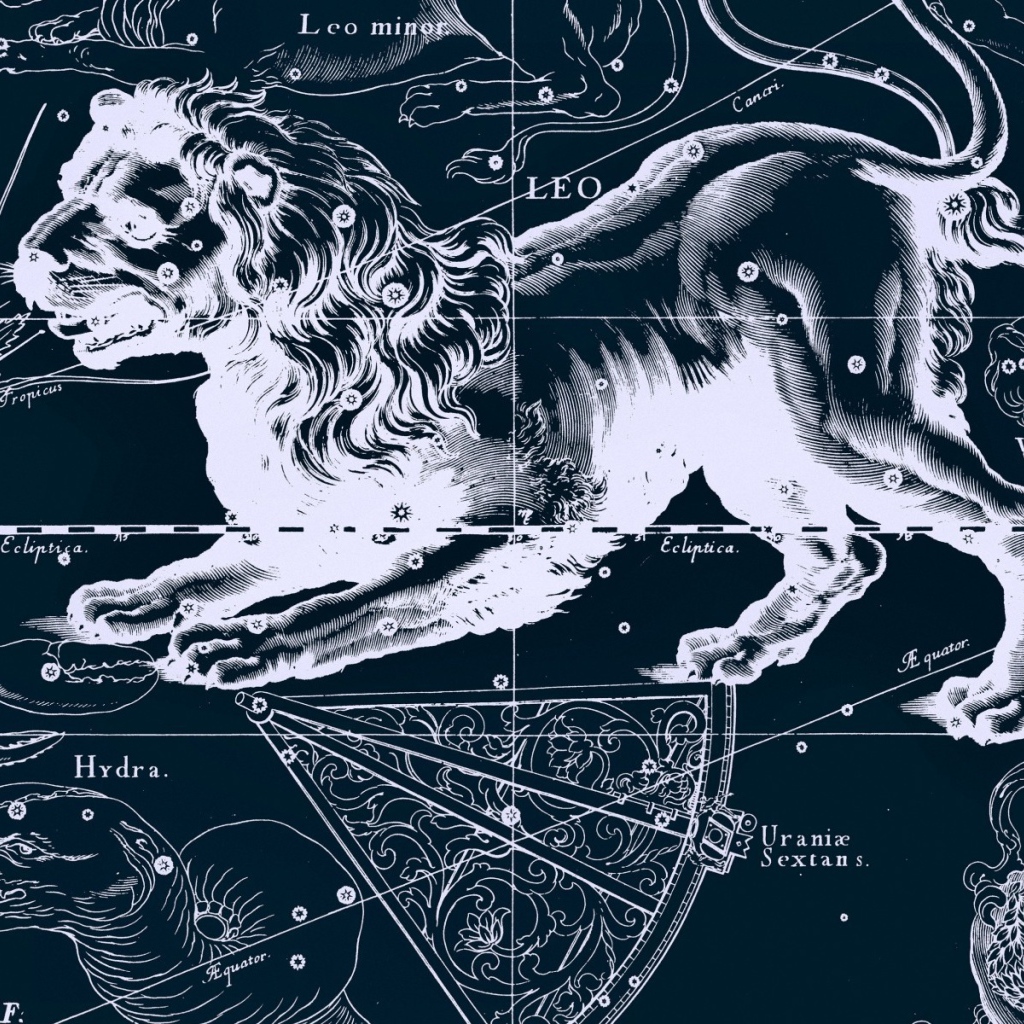 Карта звездного неба, лев