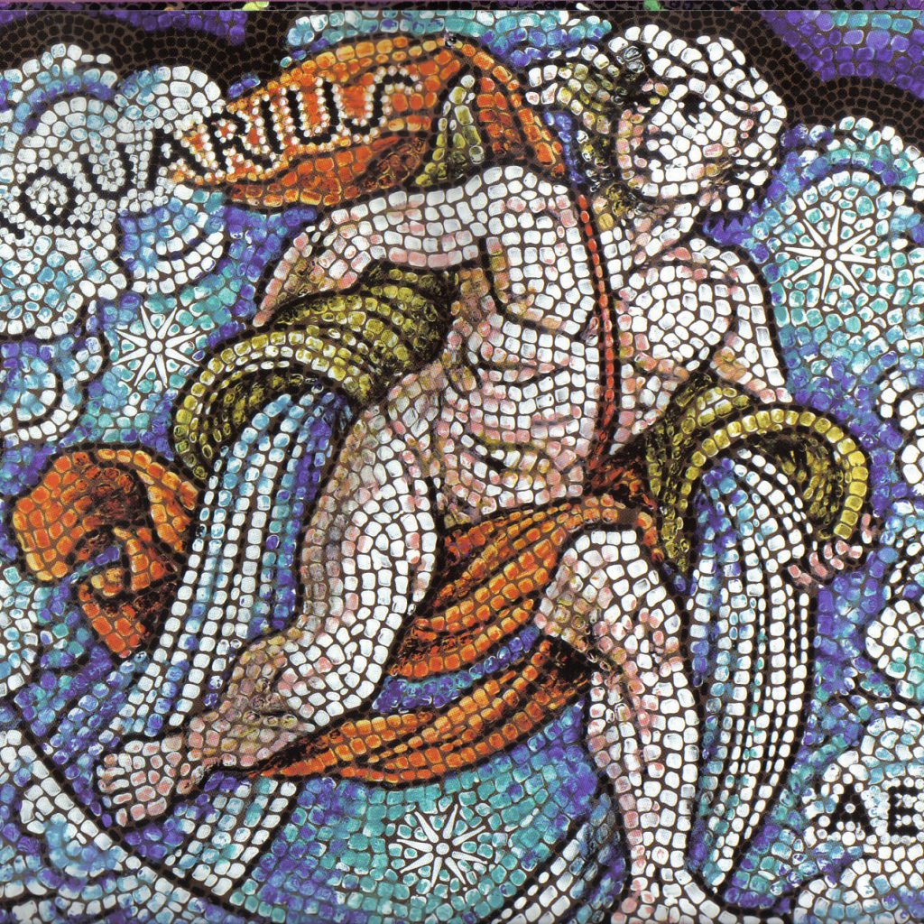 Водолей, мозаика