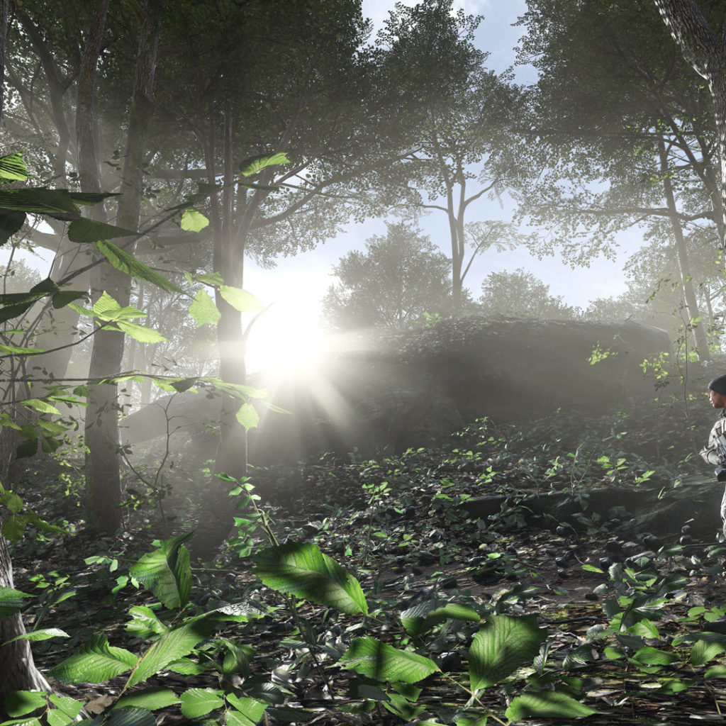 Battlefield 4 солдат в лесу