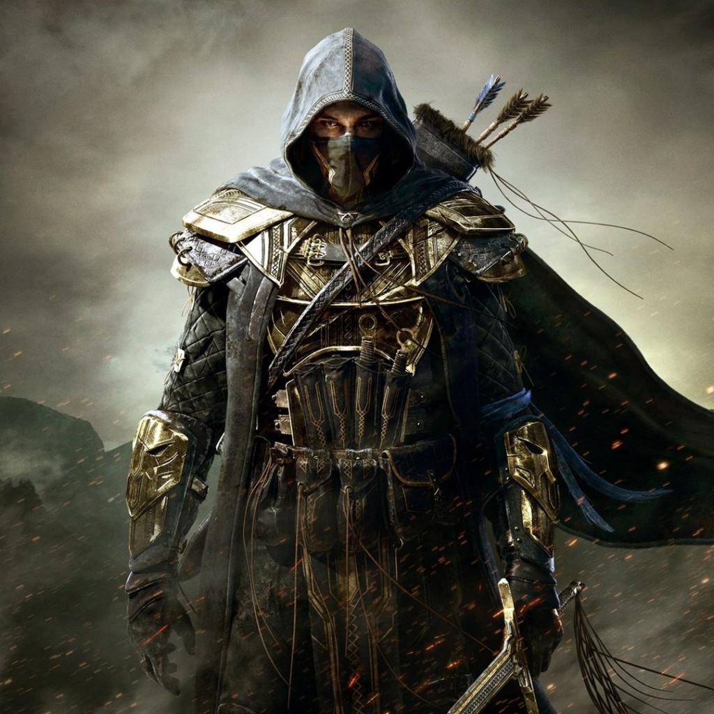 Elder Scrolls Online: убийцы с луком
