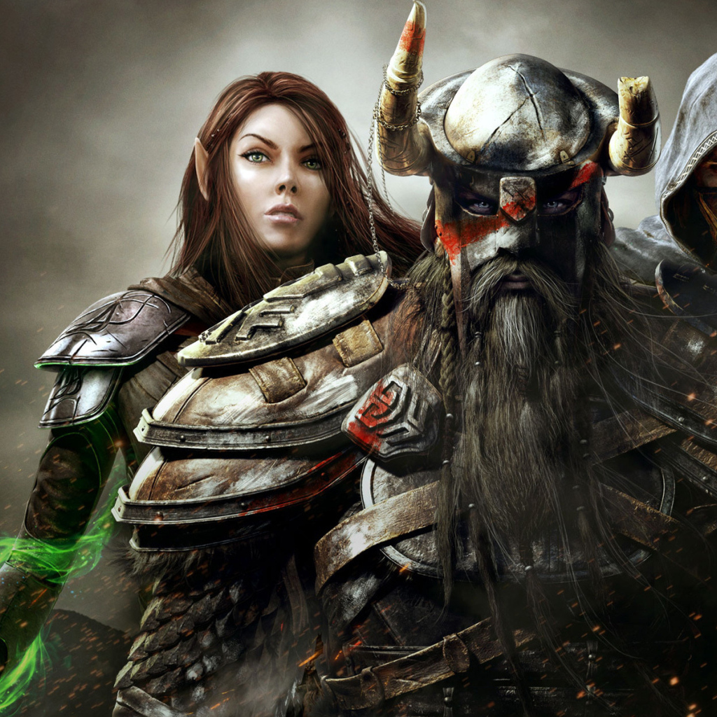 Elder Scrolls Online: варвар маг и лучник