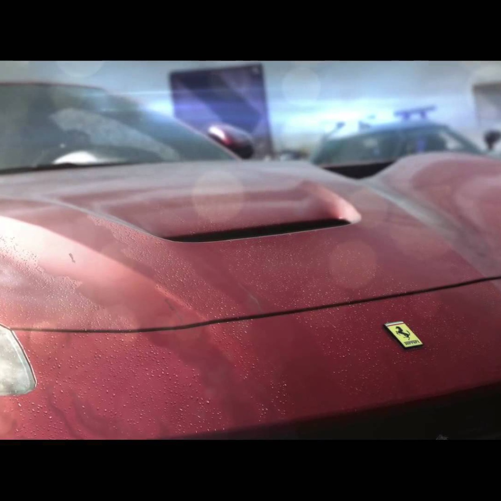 Need for Speed Rivals: яркие огни