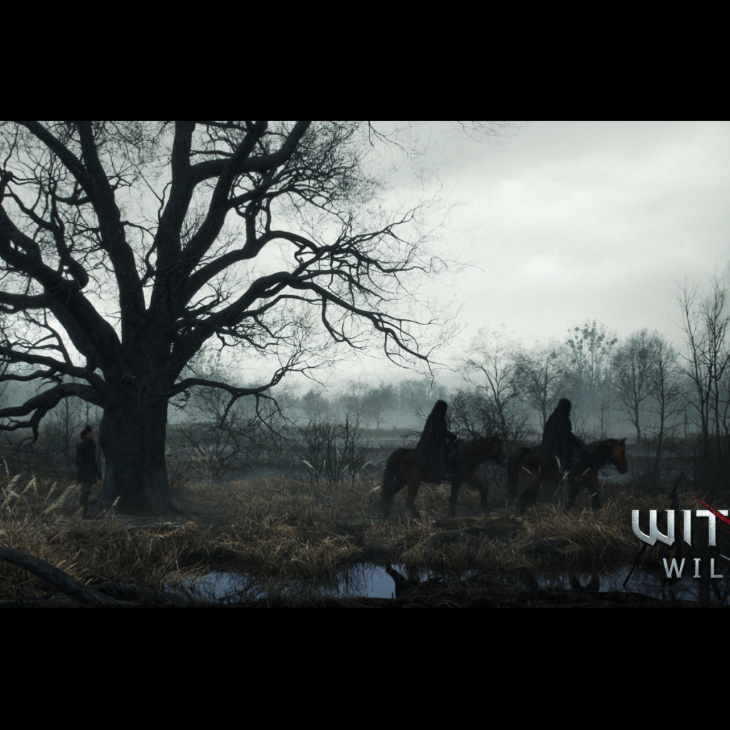 The Witcher 3: Wild Hunt: долгий путь домой