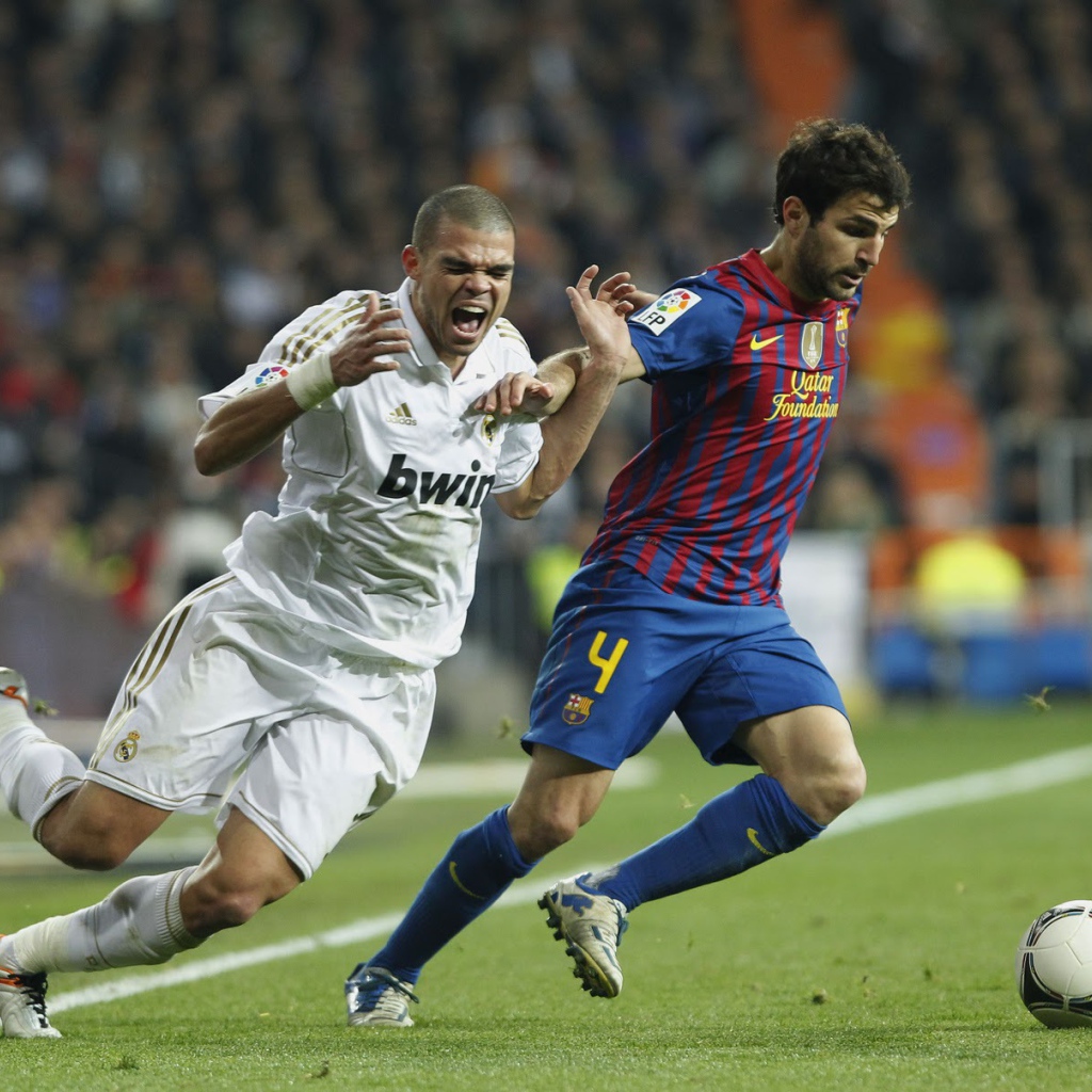 The defender of Real Madrid Pepe injury