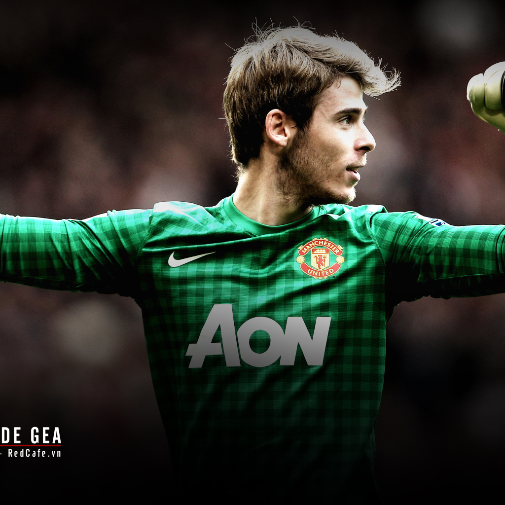 The goalkeeper of Manchester United David De Gea
