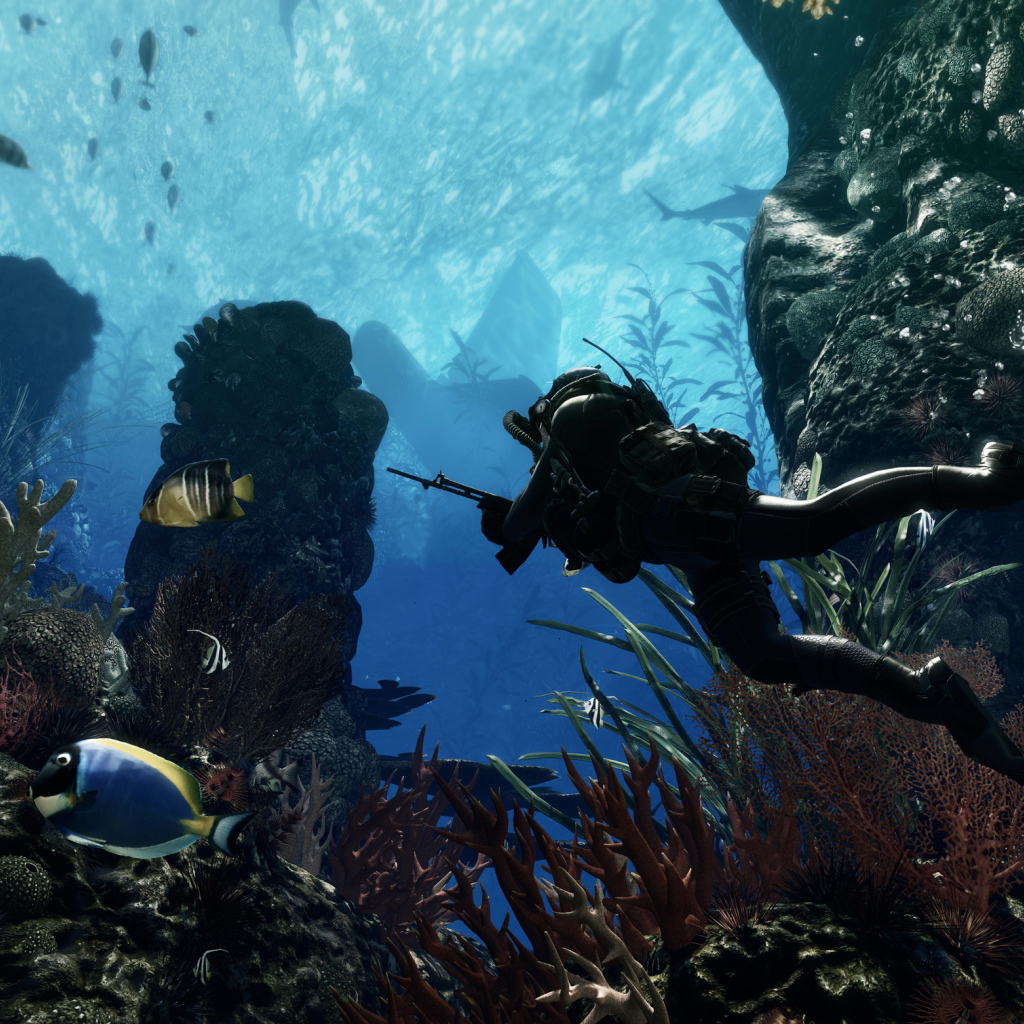  Служебный долг: призраки погружения