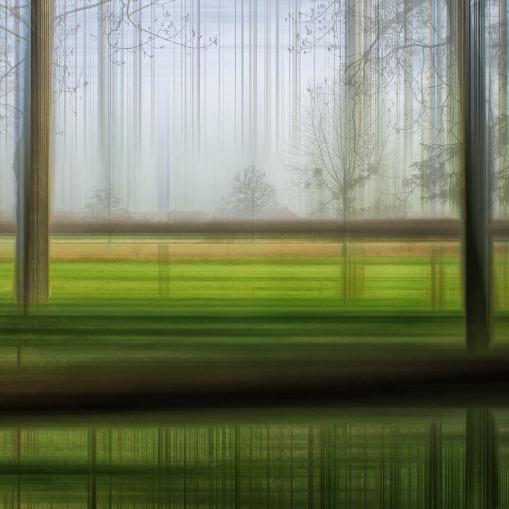 Размытый лес