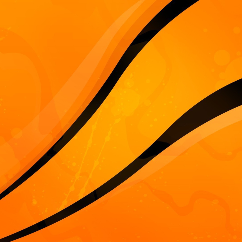 Оранжевый раскол