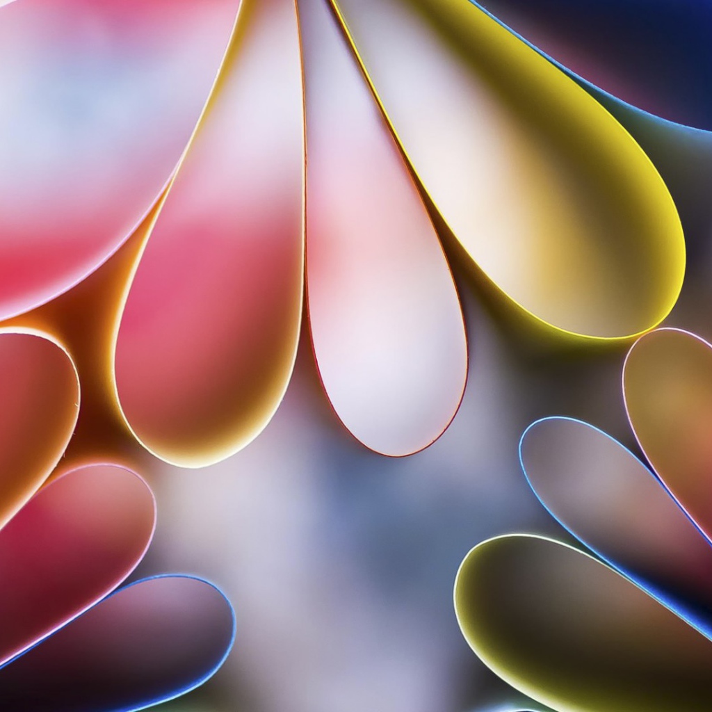 Лепестки цветов