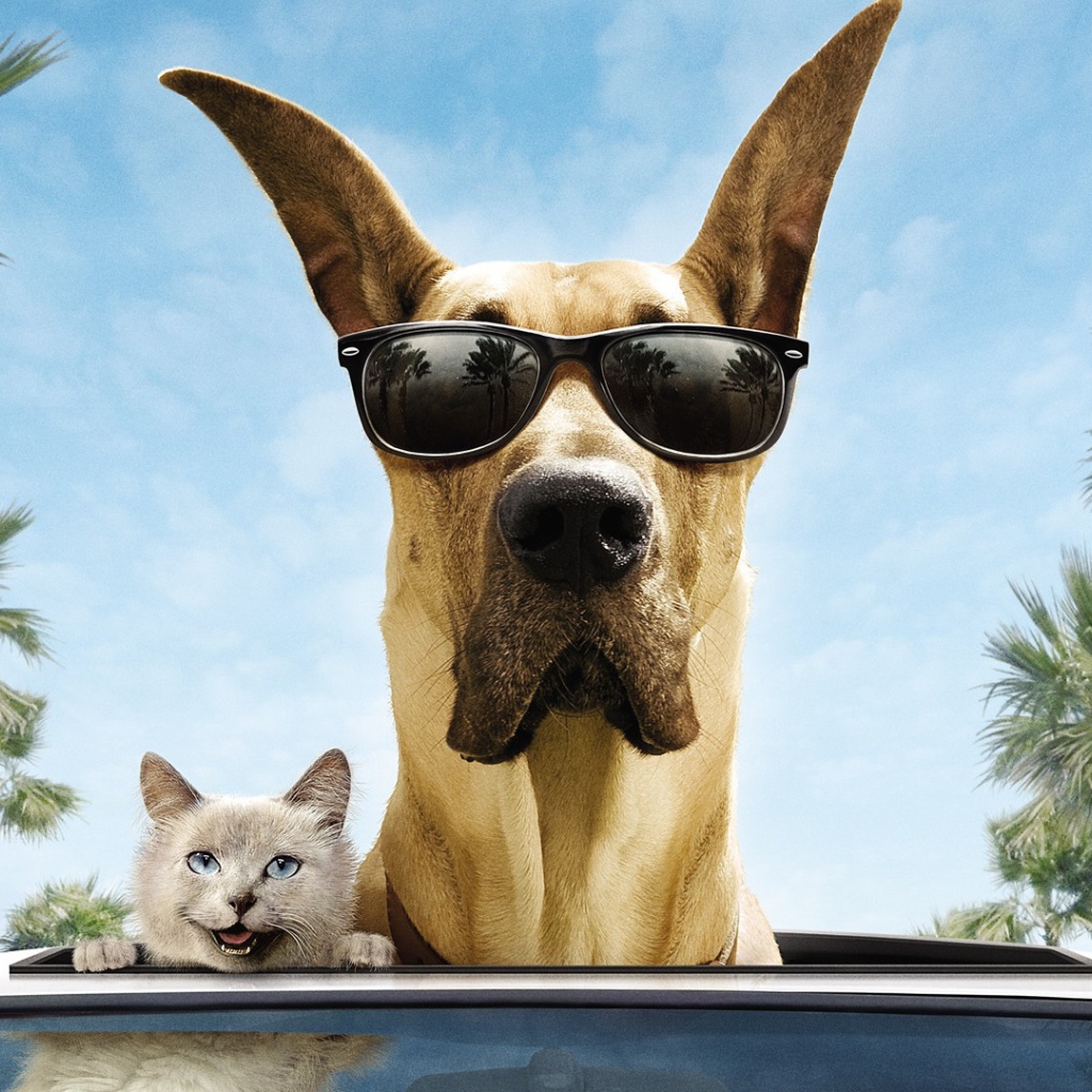 Животные герои фильма