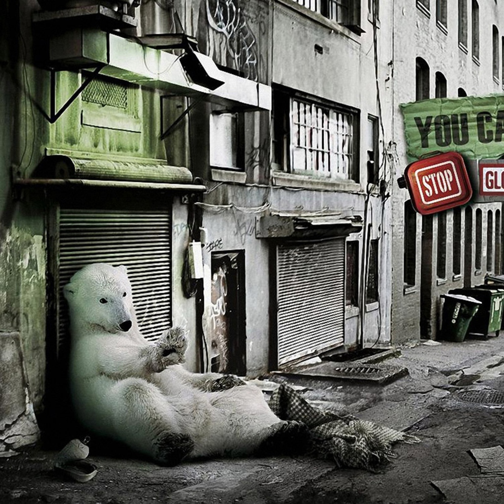 Помогите бедному медведю