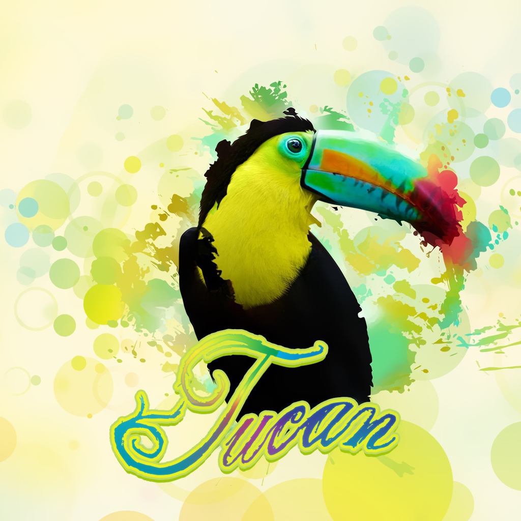 Птица тукан в красках