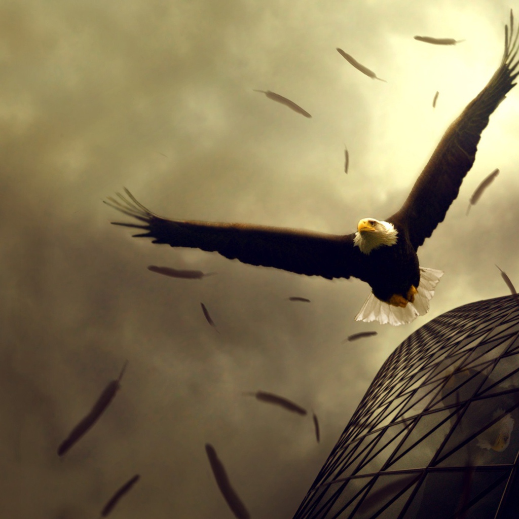 Орел теряет перья