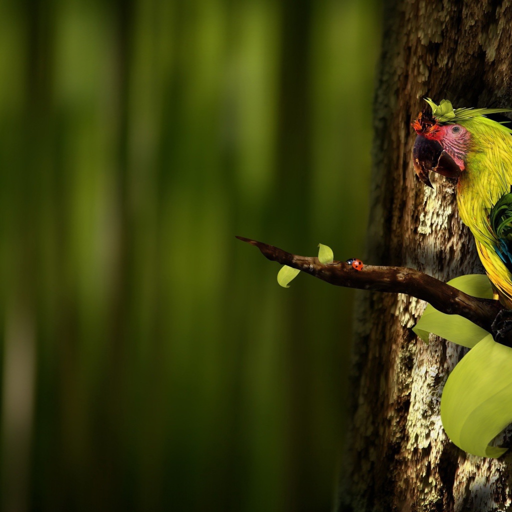 Попугай на ветке