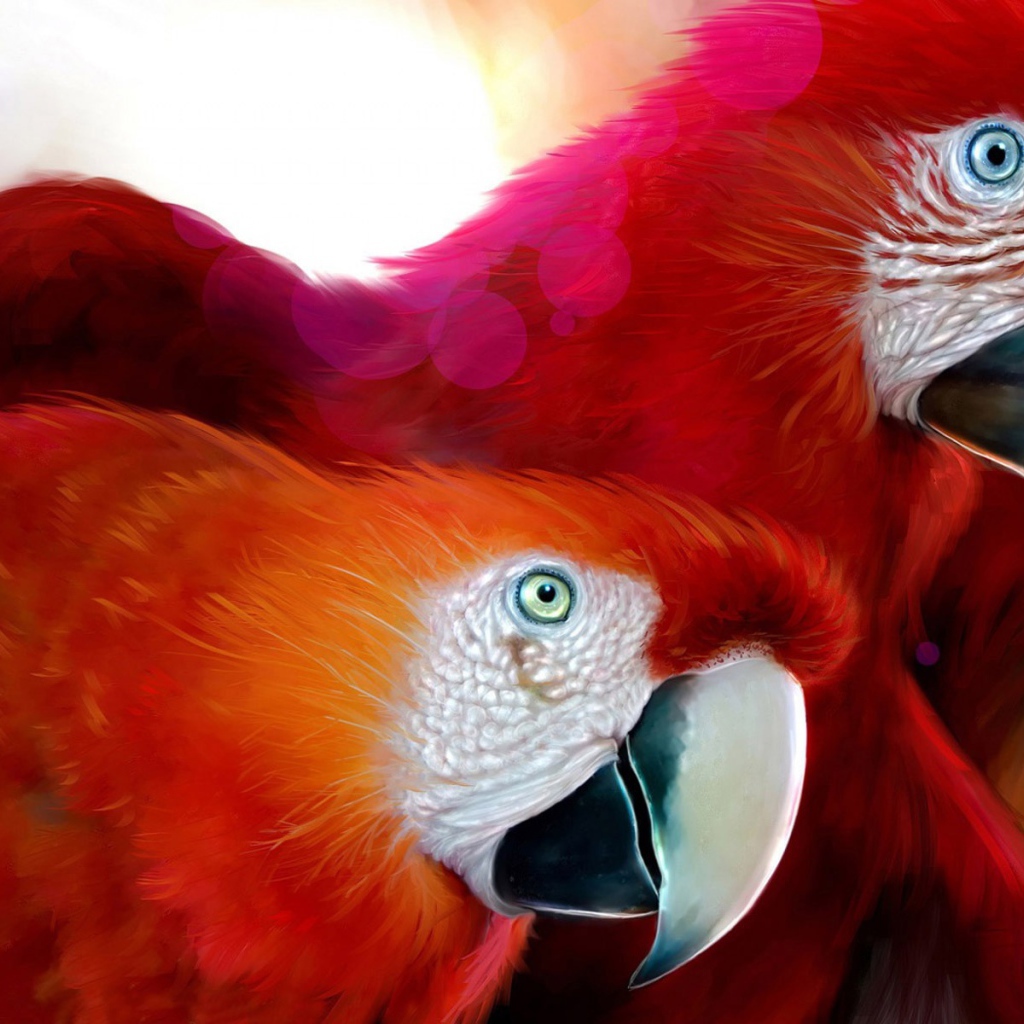 Обои с попугаями