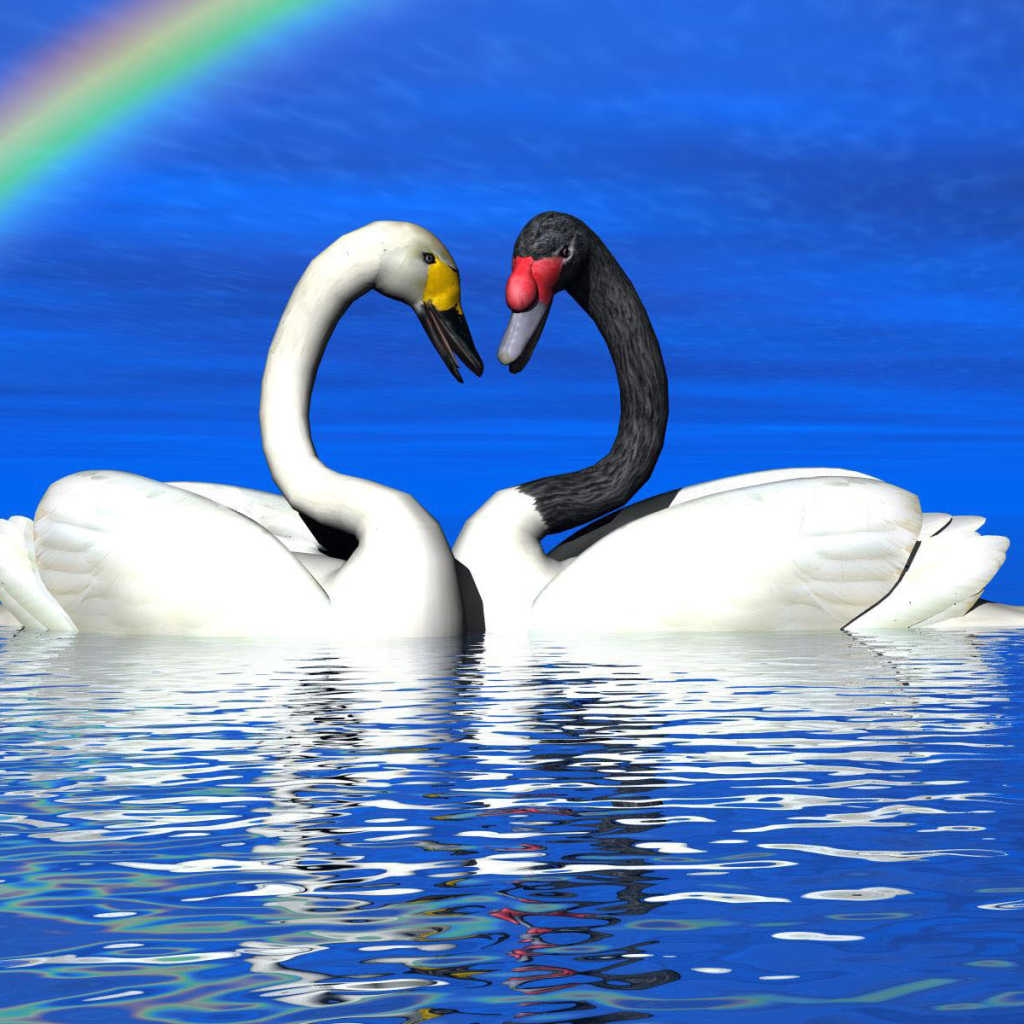 Лебеди под радугой