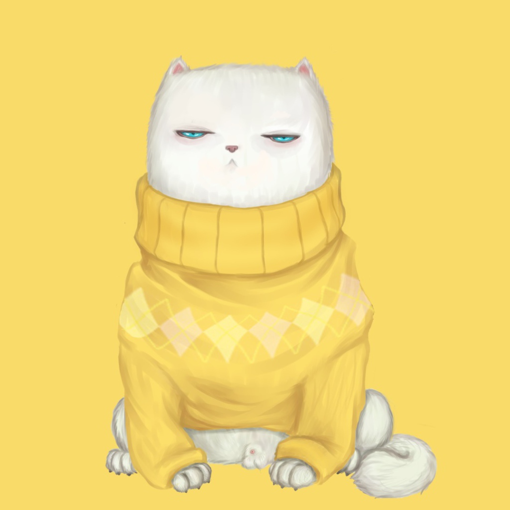 Cat in sweater