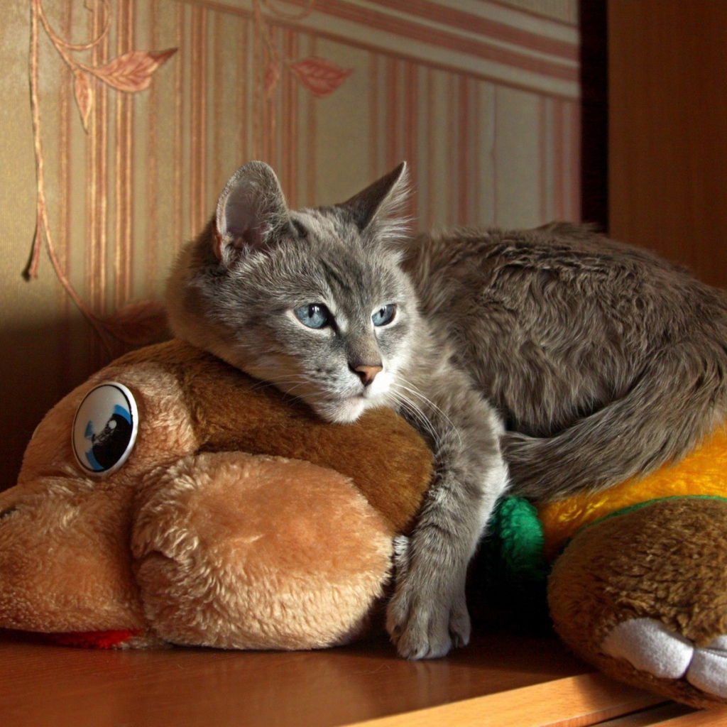 Кот лежит на мягкой игрушке