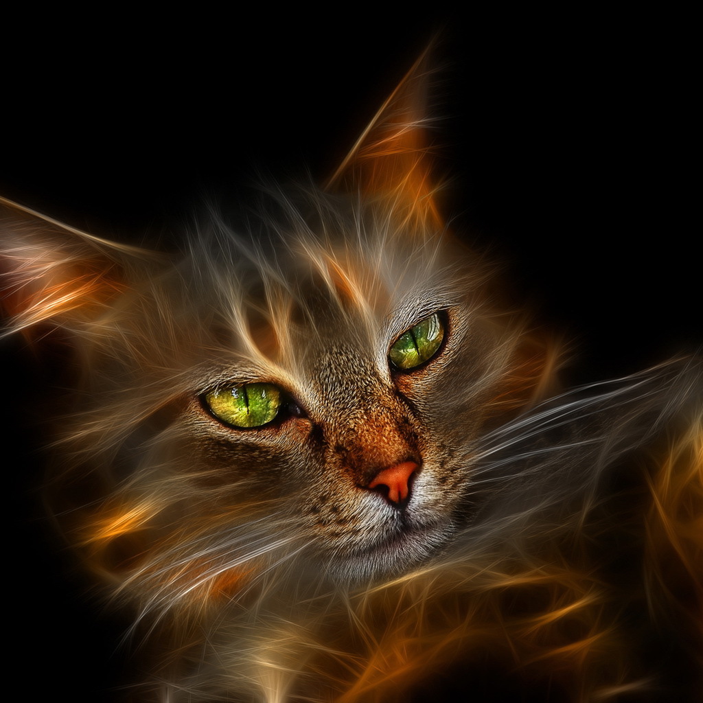 Огненная кошка