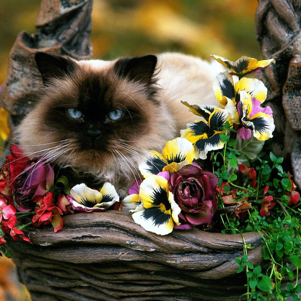 Садовая корзинка