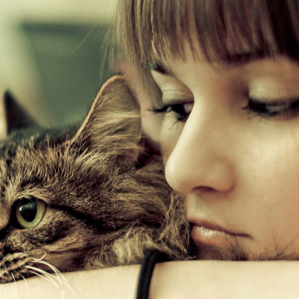 Портрет с кошкой