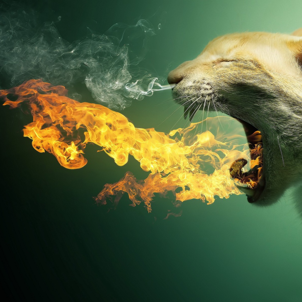 Кот изрыгающий огонь