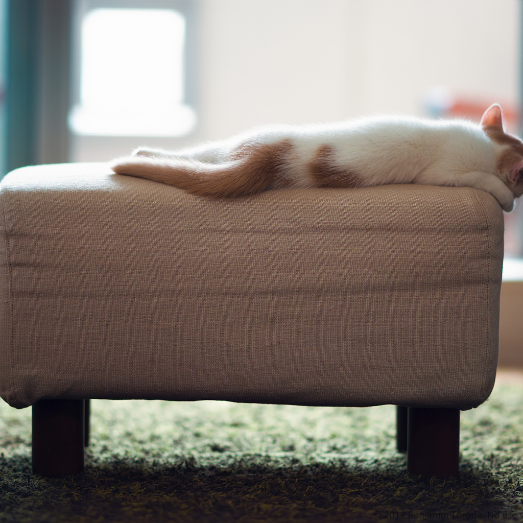 Котенок спит на пуфике