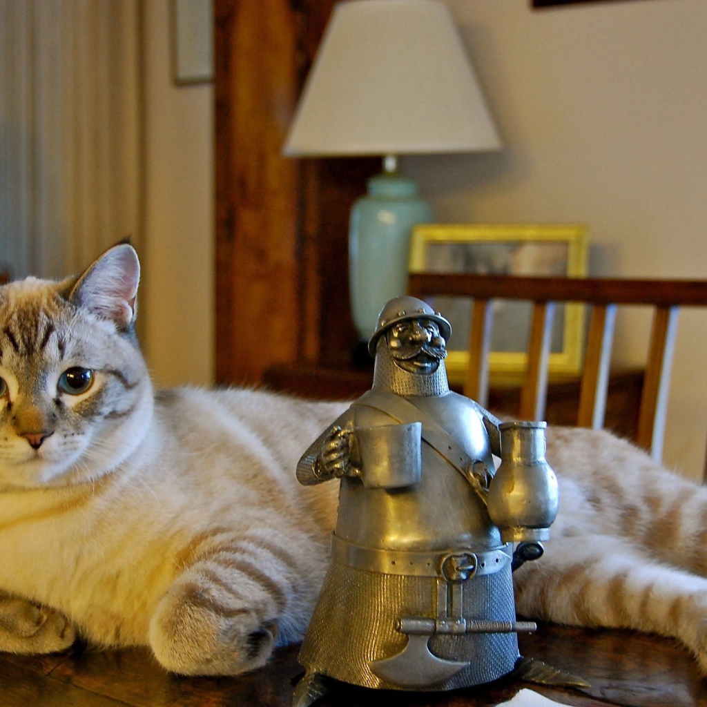 Кот у статуэтки