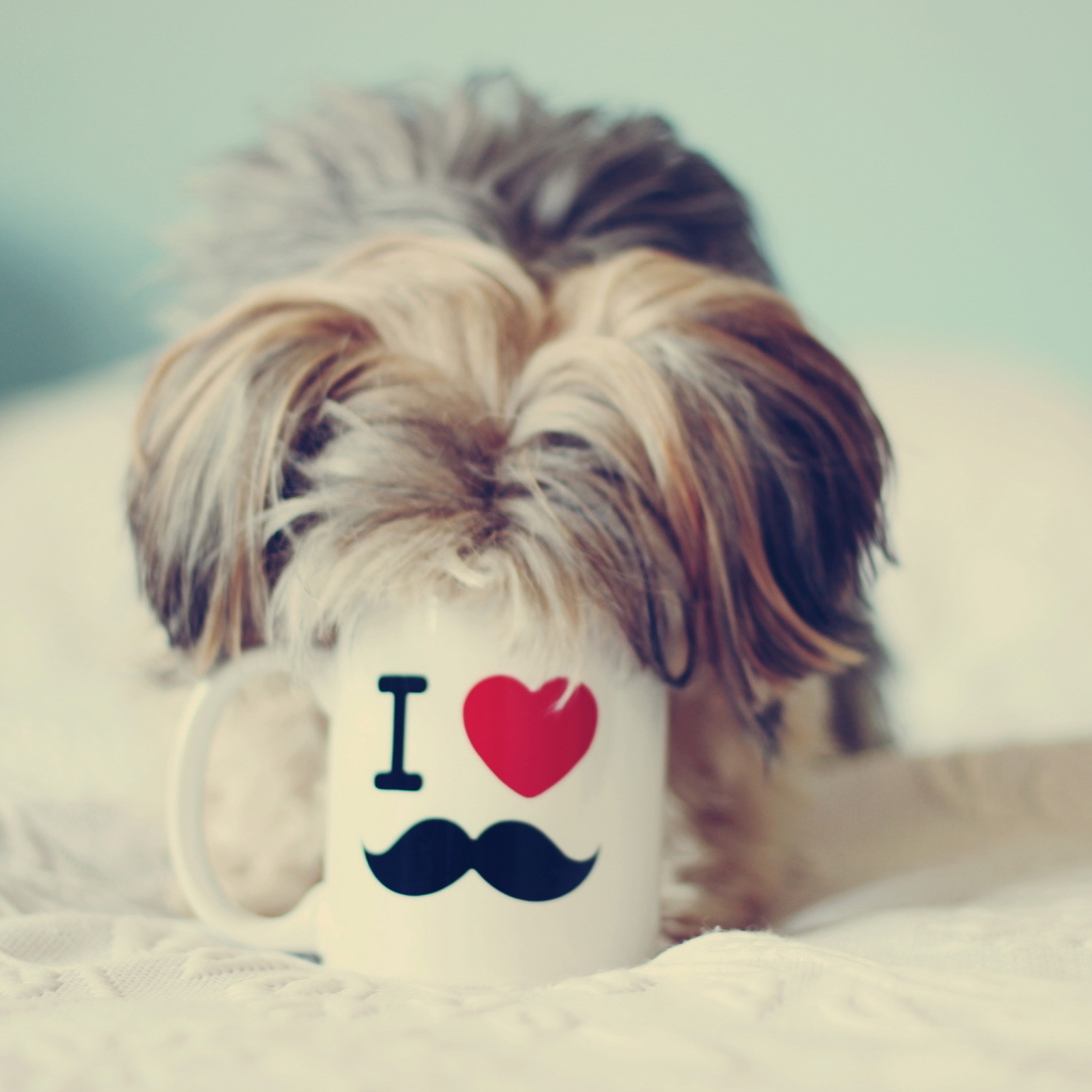 Собака пьет из чашки