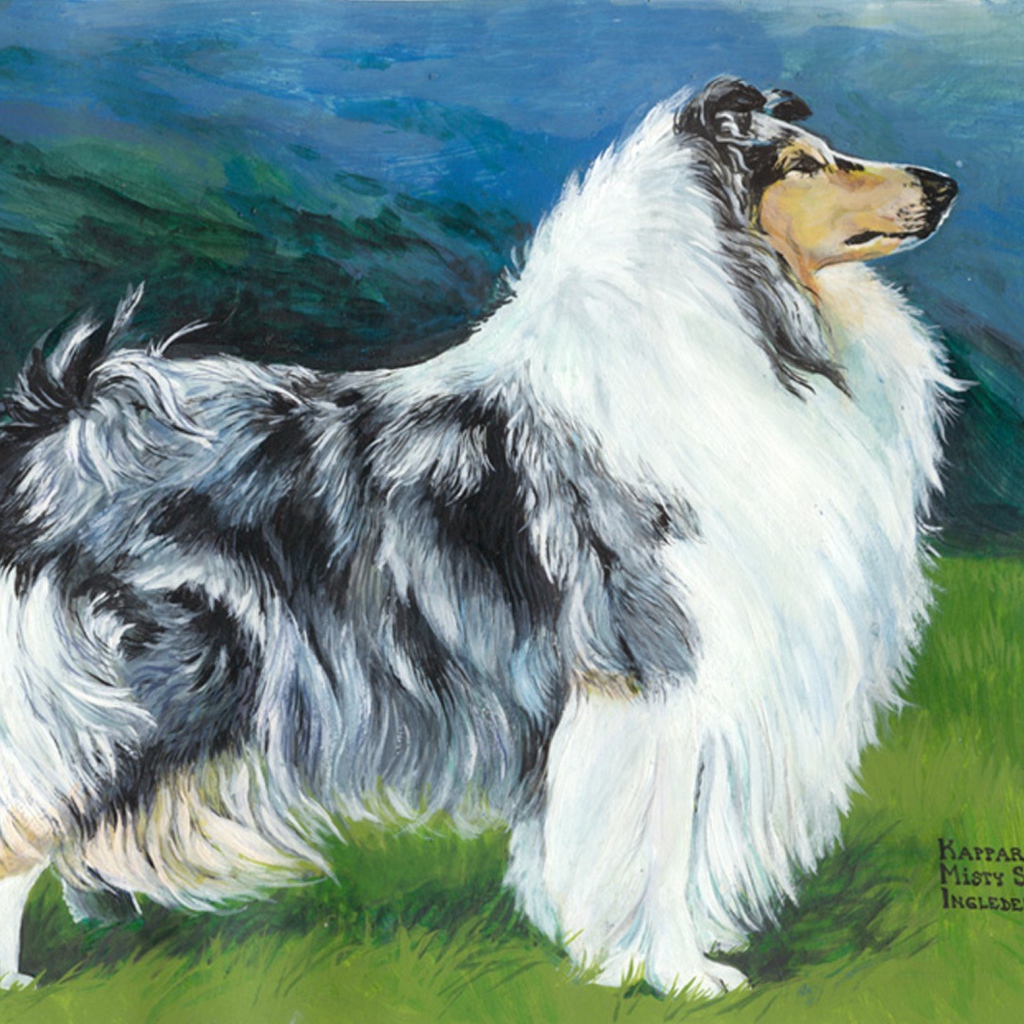 Картина с изображением колли