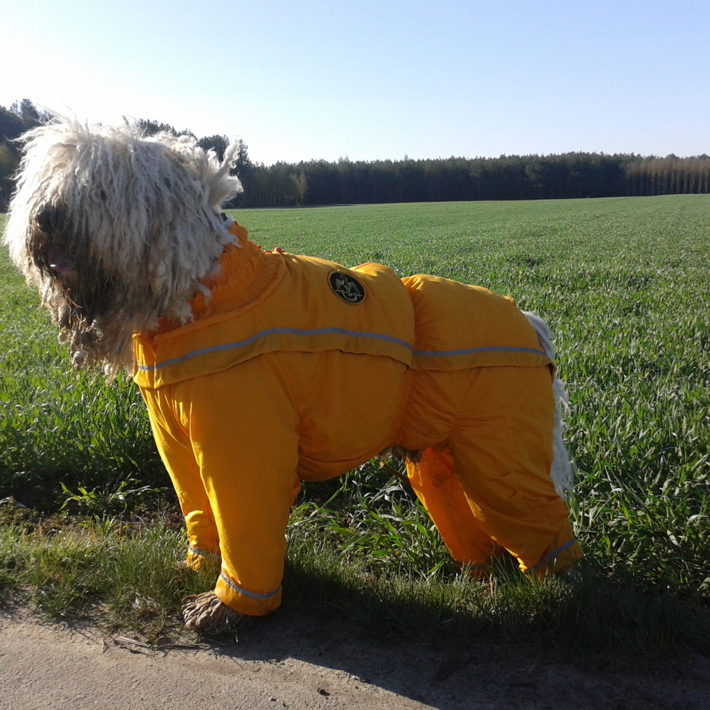 Комбинезон для комондора