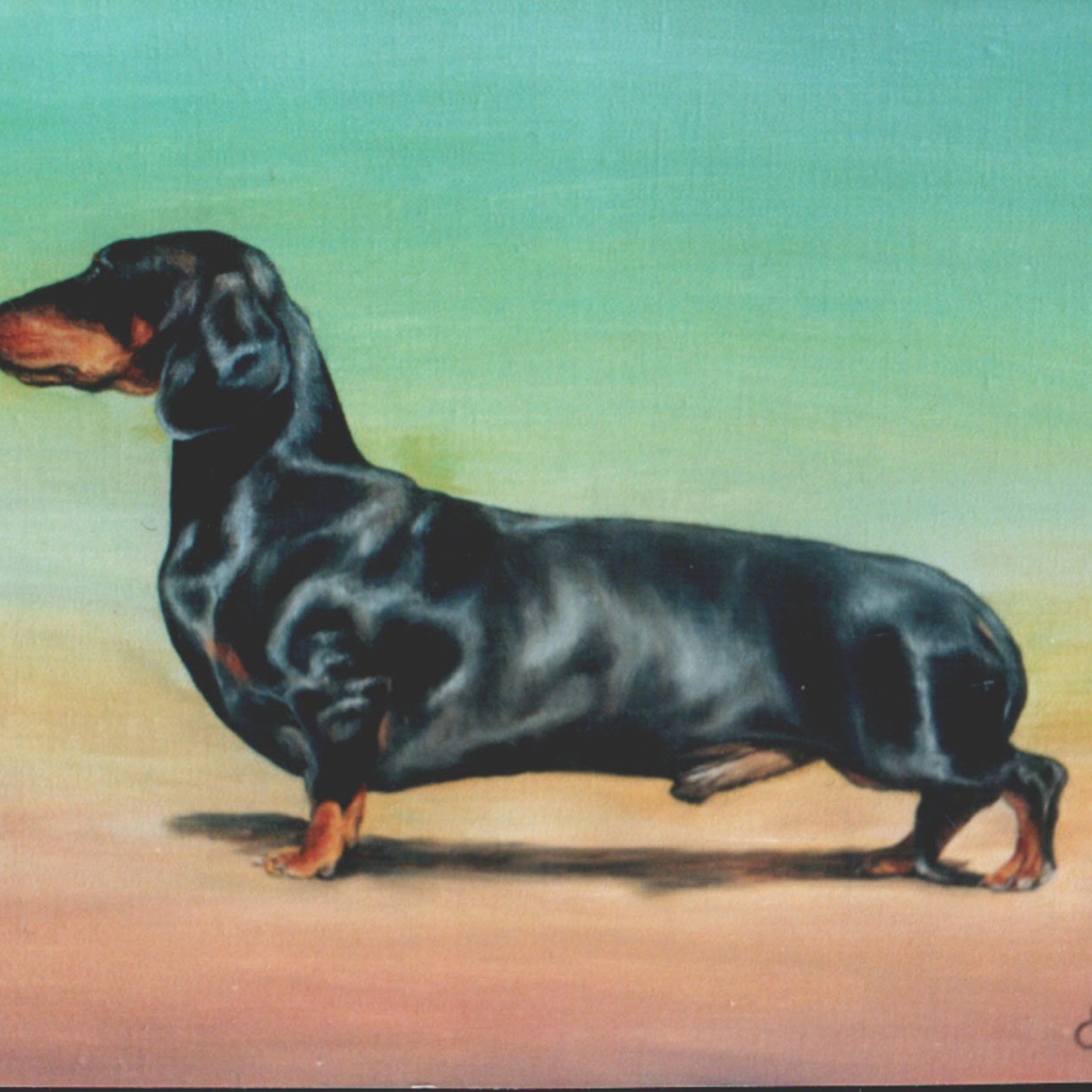 Картина с таксой