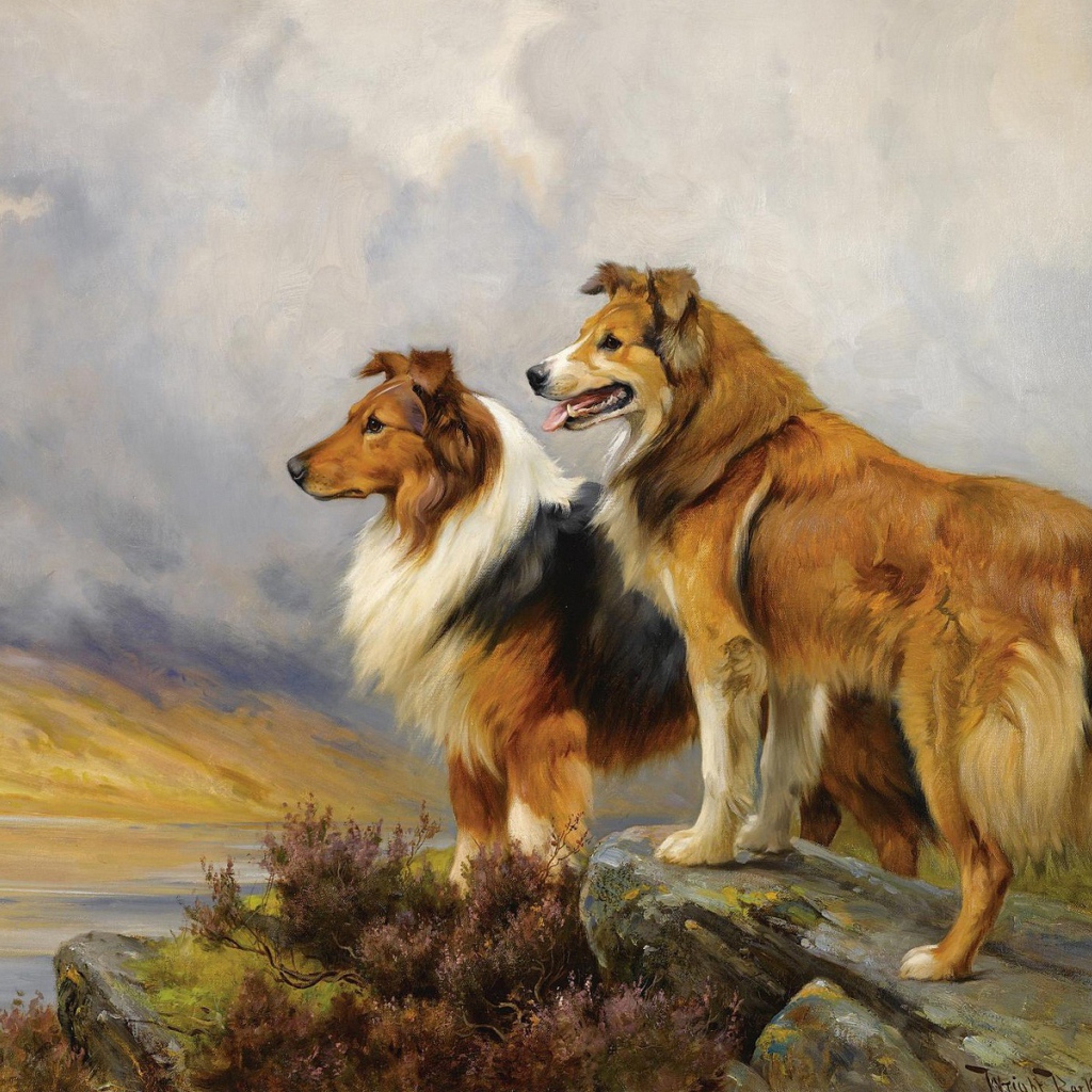 Painting with collie dog