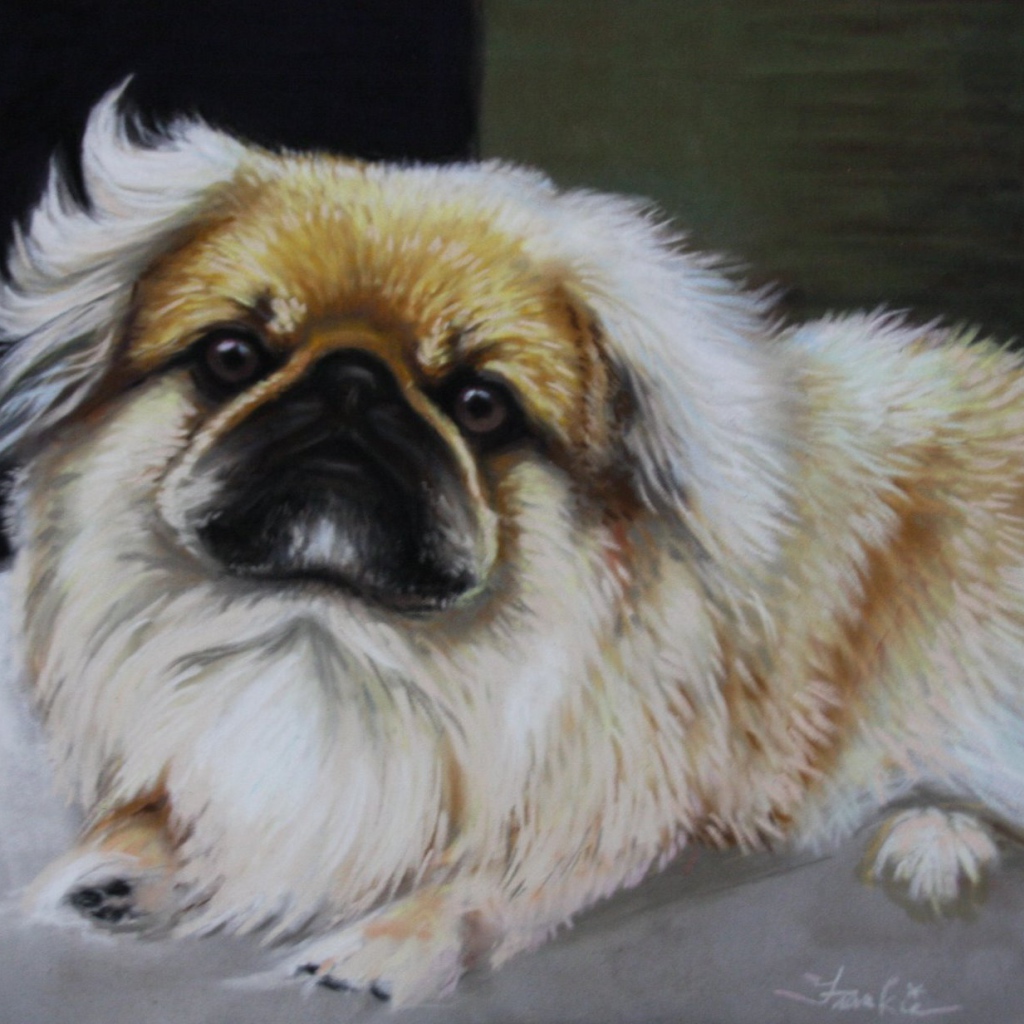 Пекинес на картине