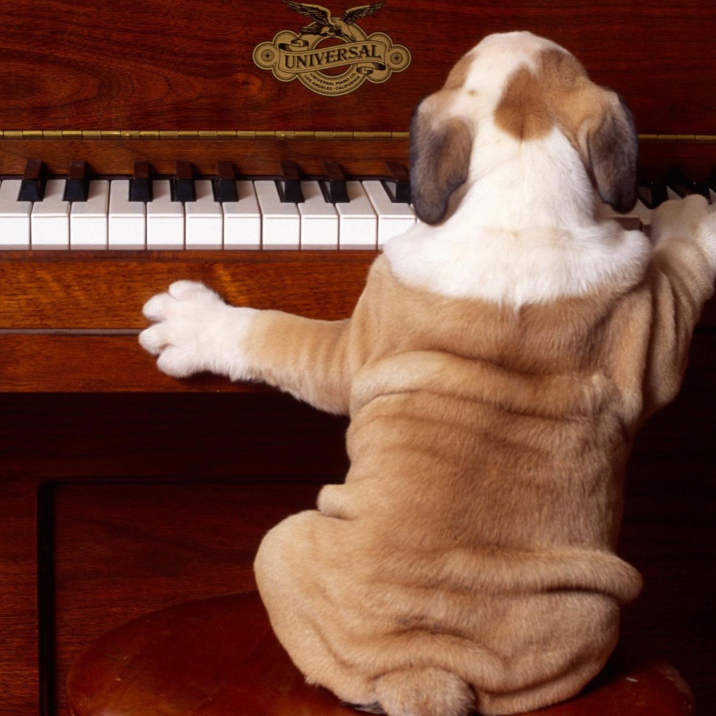 Сыграй снова 