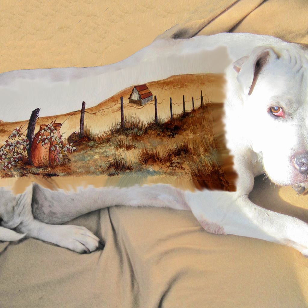 Картина на спине американского стаффордширского терьера