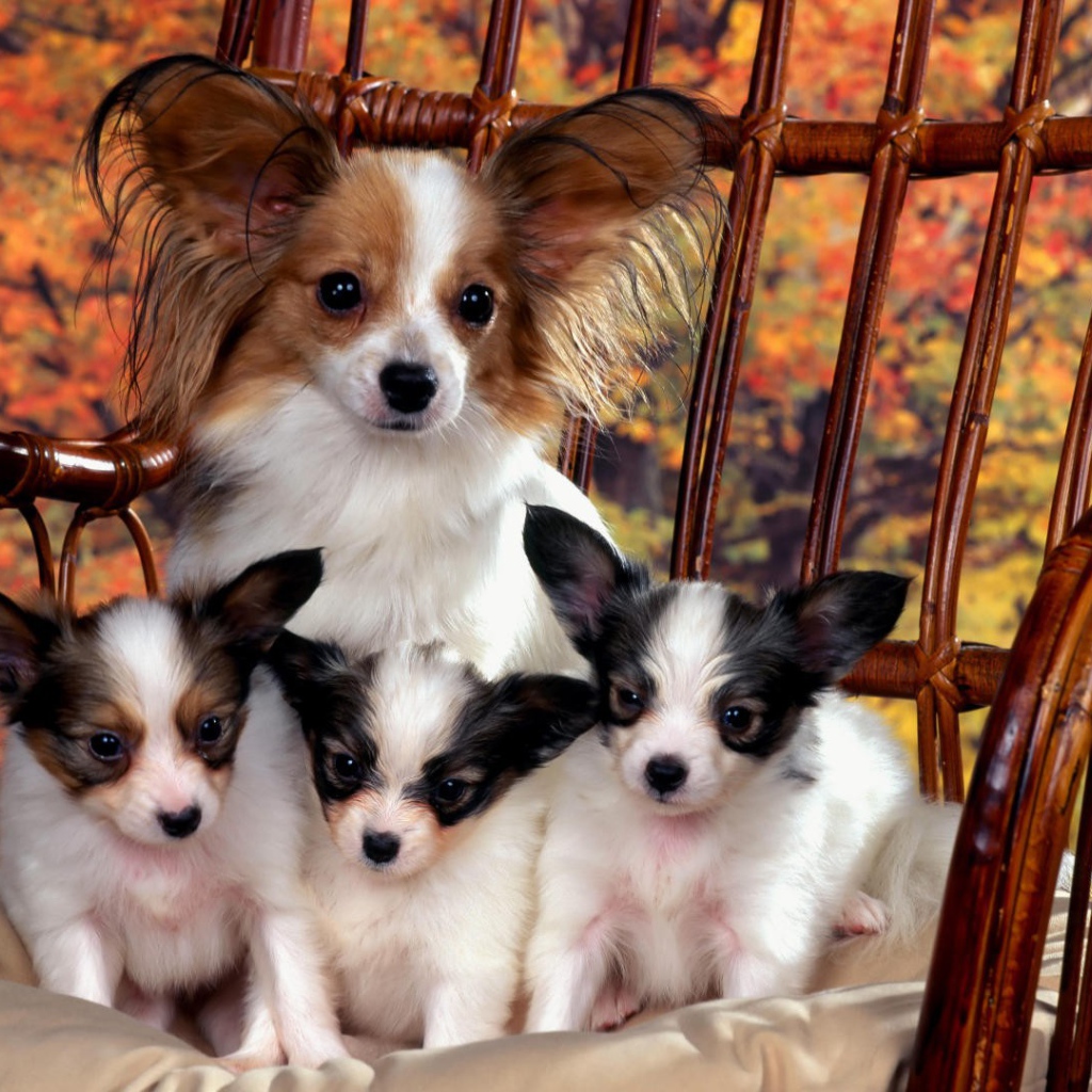 Мама со своими детьми