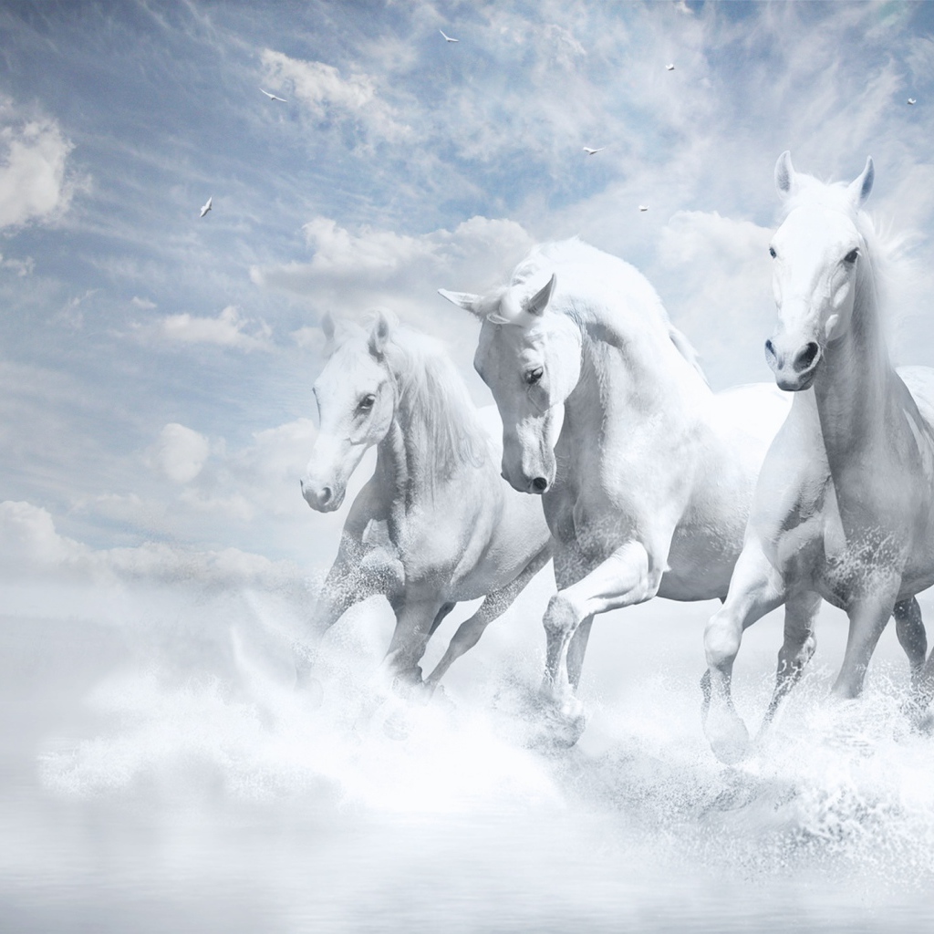 Белые лошади