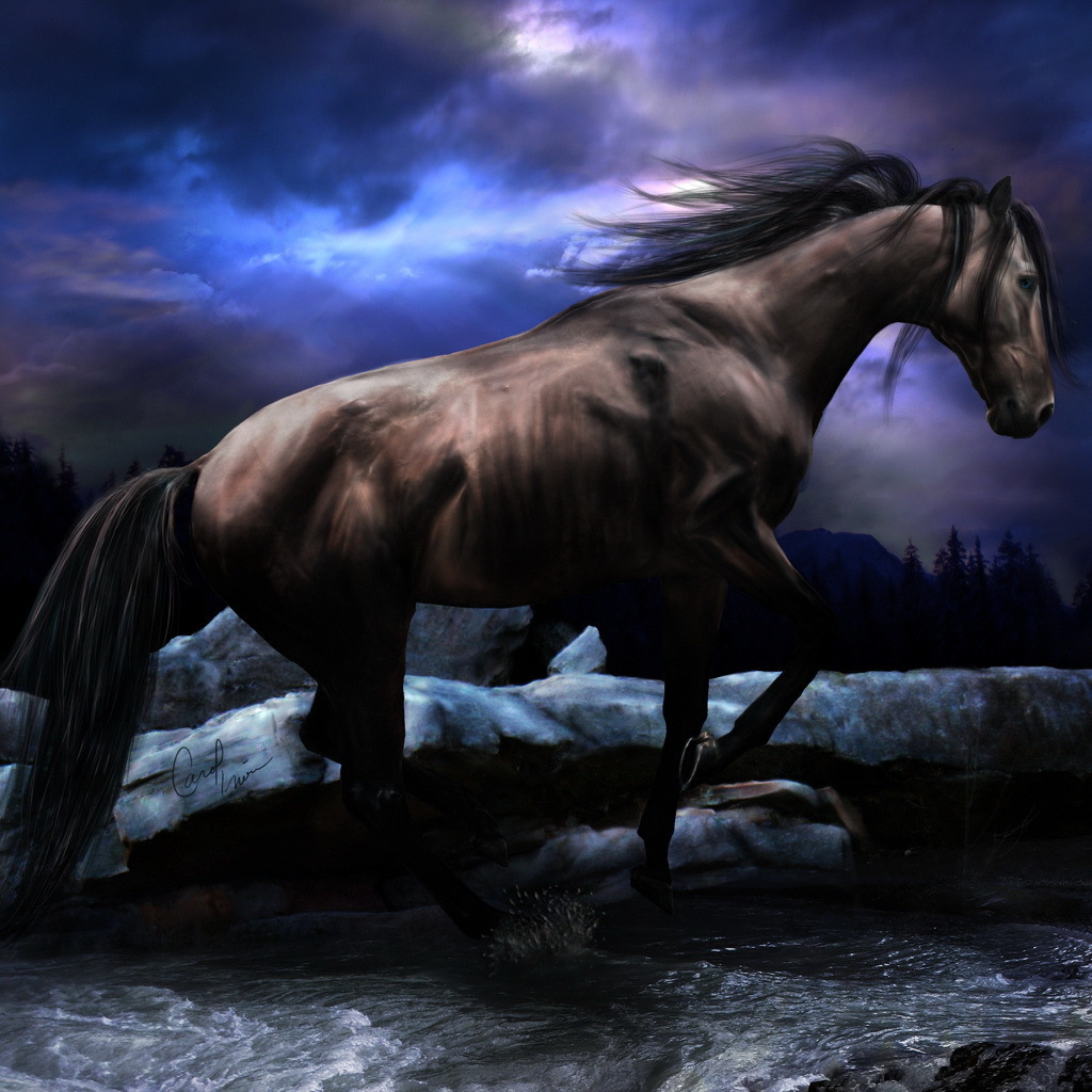 Черный конь скачет по реке