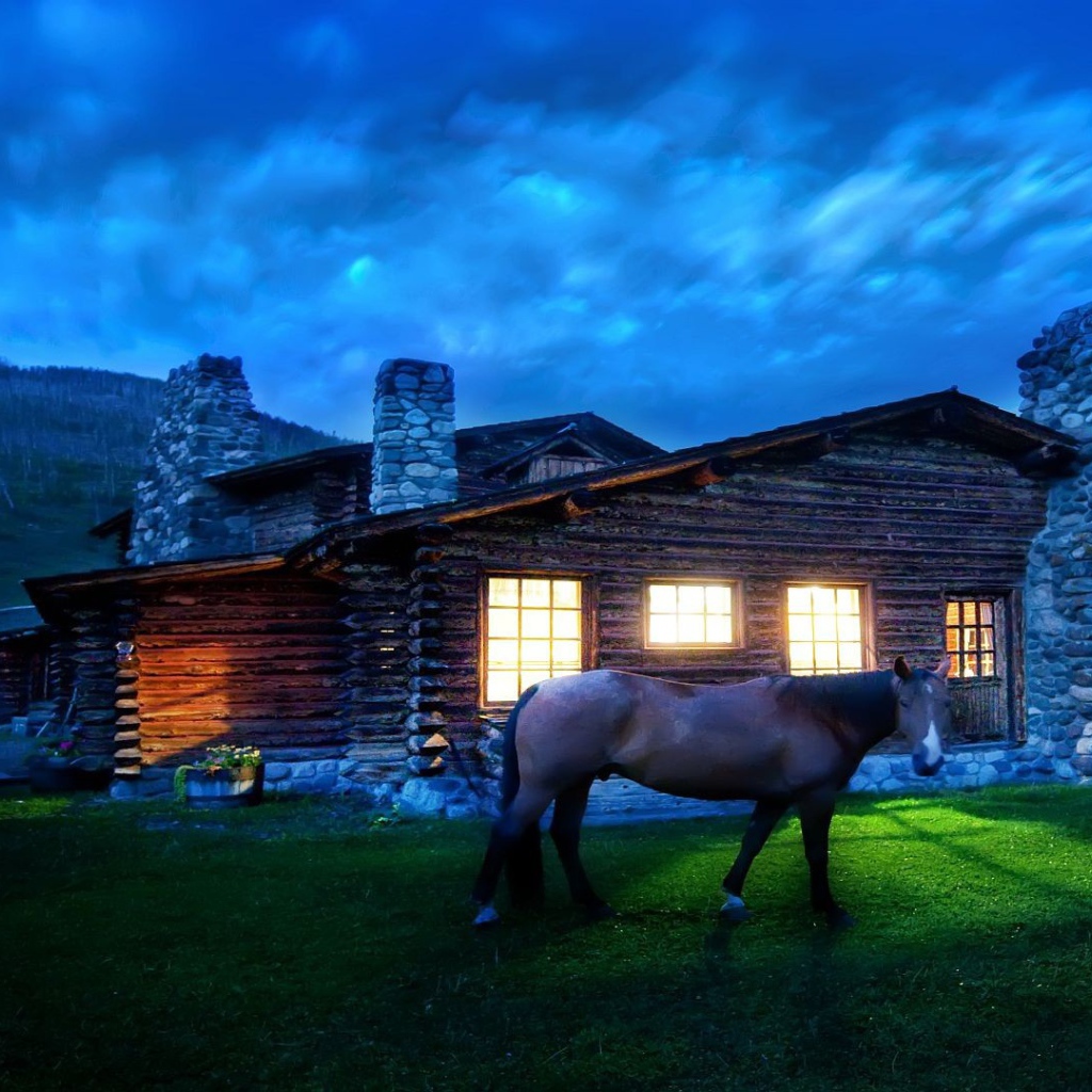 Дом лошадки