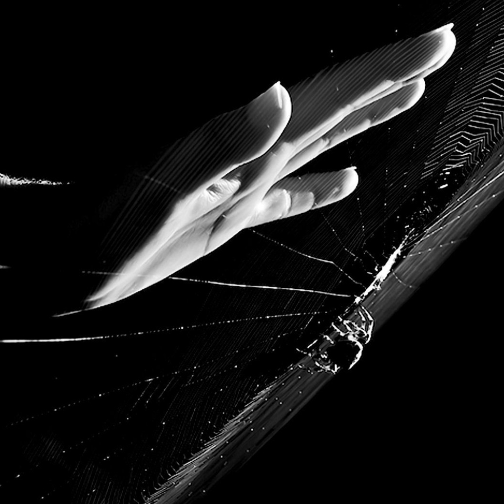 Рука у паутины